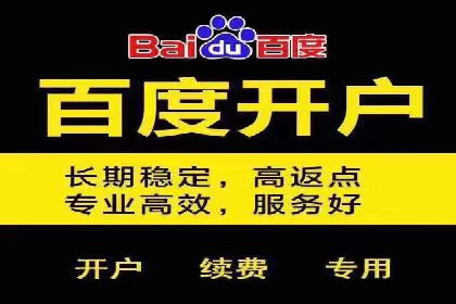案例解析：如何通过百度推广实现低成本高回报